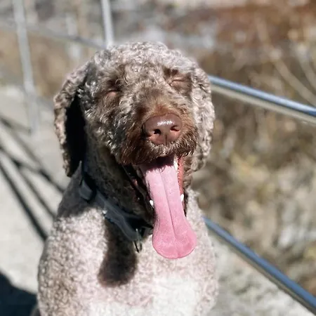 Apart Otel Apartahotel Canfranc 3*