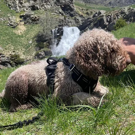 Apartahotel Canfranc Apart Otel 3*