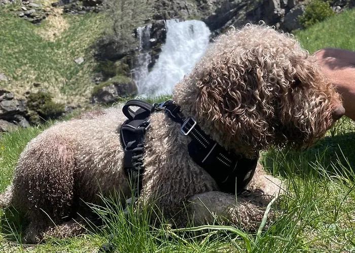 Apartahotel Canfranc Lägenhetshotell 3*