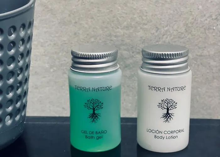 Apartahotel Canfranc 3*